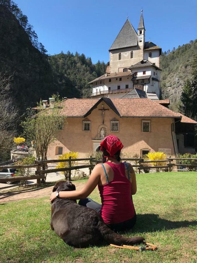 Casa Streberi Apartman Castelfondo Kültér fotó